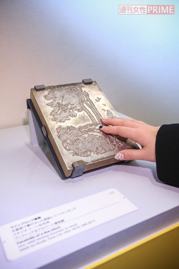 体験型の展示　撮影／齋藤周造