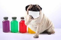 コロナ第3波の襲来!第1波で店頭から消えたものとは?一応、確認しておきたい「備え」