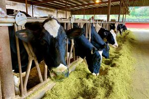 ※写真はイメージです