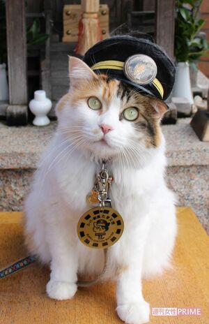 現在のニタマ駅長