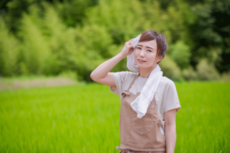 蚊は人が出す炭酸ガスや皮膚の匂い、温度を感知して血を吸いにくるという　※写真はイメージ