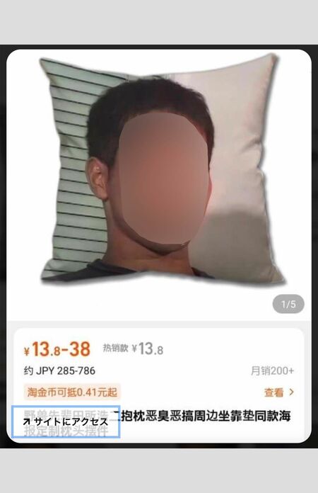 中国で顔写真がクッションにプリントされ売られている!?　野獣先輩（ピンタレストより） 　