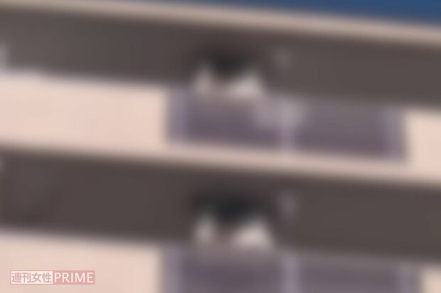 秋田容疑者の自宅兼事務所(一部加工)