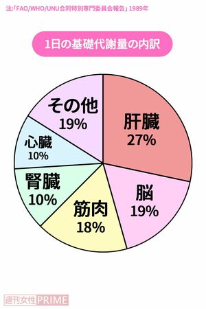 1日に使うエネルギーの中で、基礎代謝量がダントツで高い。運動したくないのなら、基礎代謝量を上げることが、やせる近道