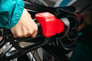 写真はイメージです