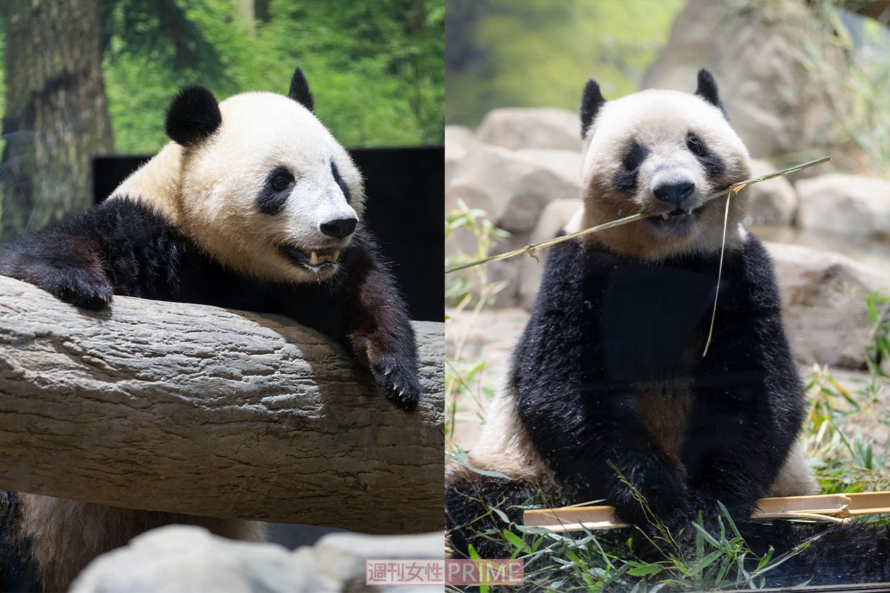 img_cc0c47e49d2ae0c30bb1f6f671