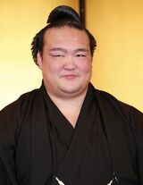 大相撲初場所で念願の初優勝！　3代目若乃花以来、19年ぶりに日本出身横綱となった稀勢の里