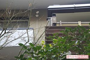渋谷区神泉町にある石原容疑者の自宅には複数の防犯カメラと鉄壁のガードが築かれている。また、犬のフンの取り締まりにもうるさかった