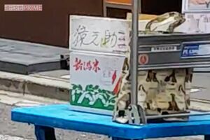 「猿之助」と書かれた段ボール箱。重量があるのか、移動には台車が用いられていた