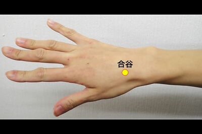 小顔＆たるみ解消には「合谷」（画像提供／ブレア）