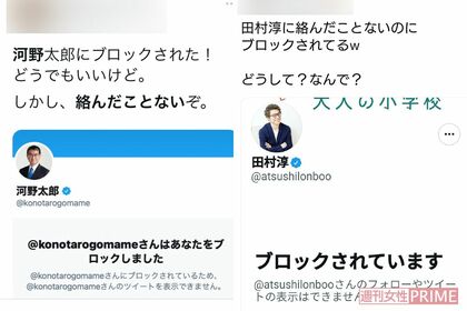河野太郎・田村淳に絡む前にブロックされた一般人（ツイッターより）