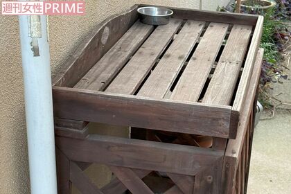 《茨城・阿見町》なぜか外で飼うネコの小屋があった容疑者宅の庭先