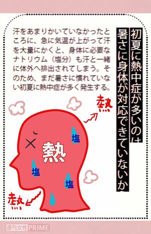 初夏に熱中症が多いのは暑さに身体が対応できていないから