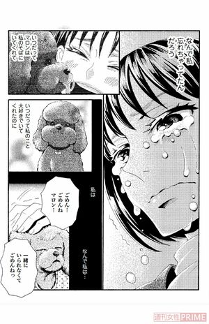 『ペット共生型マンション物語 ハイツ祐天寺へようこそ』(漫画 柏屋コッコ/原作 小林のえ)91ページより