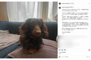 インスタグラムを開設した今森茉耶（本人インスタグラムより）