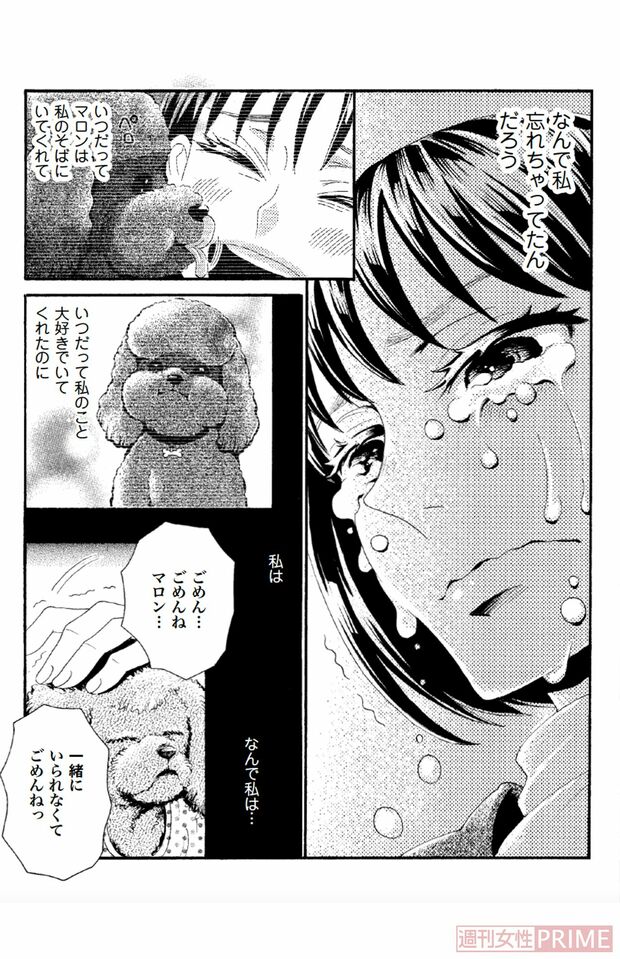 『ペット共生型マンション物語　ハイツ祐天寺へようこそ』（漫画 柏屋コッコ／原作 小林のえ）91ページより