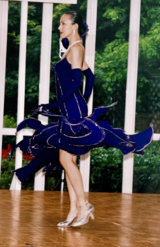 テレビ番組『ウリナリ!!』（日本テレビ系）に出演し、芸能人社交ダンス部メンバーとして、多くの大会に出場、入賞を果たす