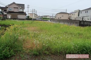和歌山カレー事件当時、林一家の自宅があった場所は雑草が生い茂っている