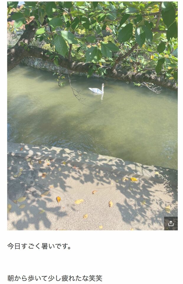 海老蔵がブログにアップした白鳥の写真