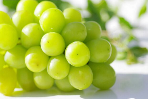 『新鮮産直！シャインマスカット1.2kg以上2～3房』（山梨県甲州市　寄付金額：1万円　還元率：55.8％）