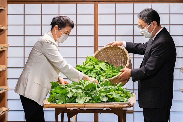 5月25日、皇居内の『紅葉山御養蚕所』で、皇后に代々受け継がれてきたご養蚕の作業を。この日は、蚕に餌となる桑の葉を与える「給桑」の作業をされた