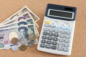 「ソンする節約30」(写真はイメージです)