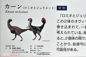 カーンは全長1・8mのオヴィラプトル類。翼をもった、鳥にも似た恐竜