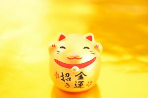 ※写真はイメージです