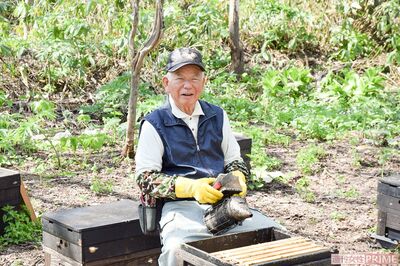 昨年、北海道にて、満面の笑顔でミツバチの世話をする祖父・正さん 撮影/伊藤和幸