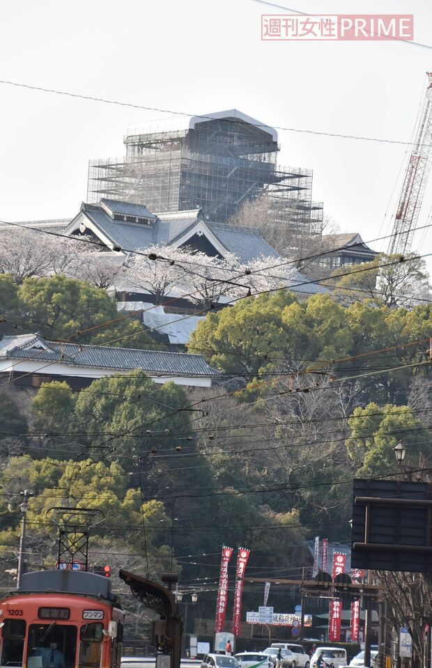 文化財を傷つけないよう慎重に工事が進む熊本城（3月23日現在）