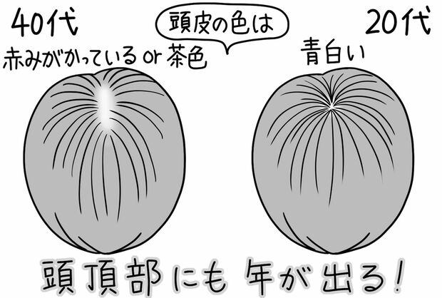 イラスト／もりたりえ