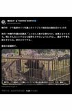 積丹町でのクマトラブルに「最低な副議長」と断じた元宝塚歌劇団の女優・毬谷友子(公式Xより)
