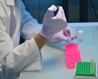 DNA鑑定や指紋鑑定……浮気の証拠を突き止める女性が増加