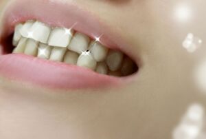 ※写真はイメージです