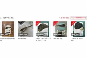 置き物として出品されている熊の胆（メルカリサイトより）