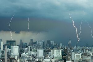 ※写真はイメージです