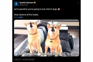 イチローと弓子夫人の愛犬「姫弓」と「天朗」（シアトル・マリナーズ公式Xより）