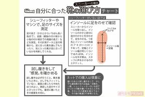 自分に合ったスニーカーの選び方チャート