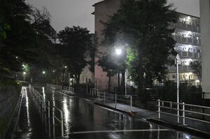 通学路に口裂け女が出るという噂でパニックになり、集団下校が行われた地域もあった