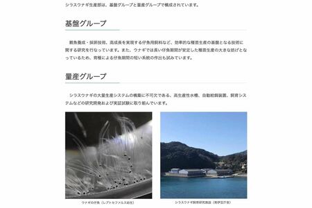 国立研究開発法人『水産研究・開発機構』はウナギの安定供給のための研究を行っている（公式サイトより）