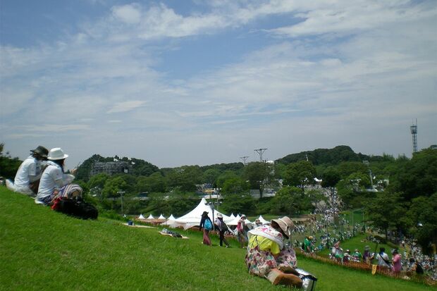 ※写真はイメージです