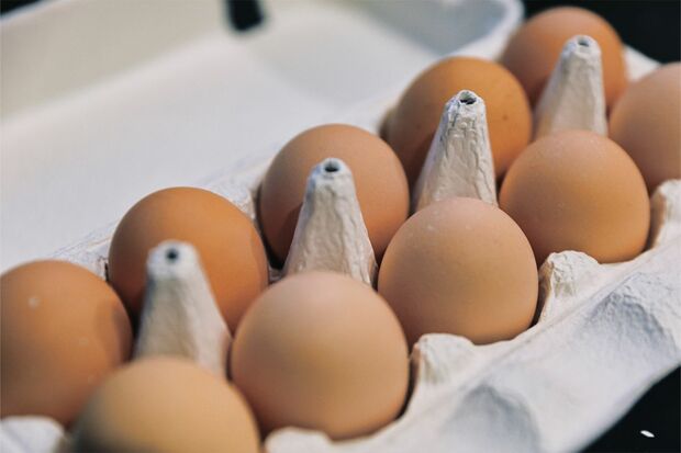 写真はイメージです