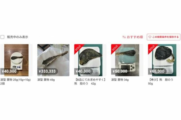 置き物として出品されている熊の胆（メルカリサイトより）