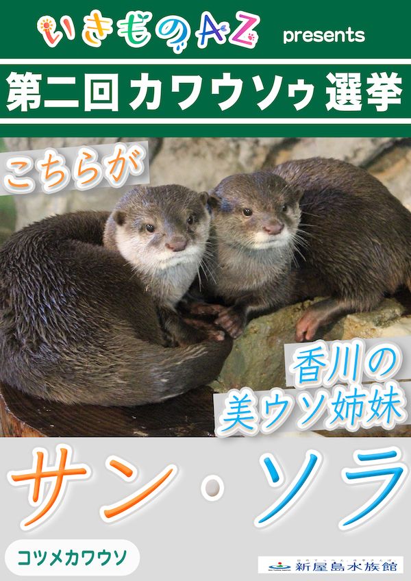 サン＆ソラ