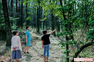 天然水は清水ではない。ふかふかの土をはじめとする、自然豊かな森によって育まれていく