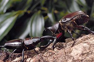 20150721_movie_20150620_b