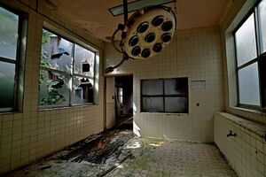 写真はイメージです