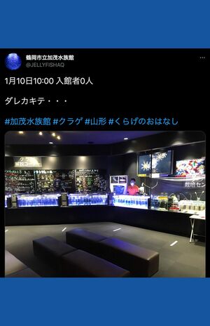 1500万表示されたツイート「ダレカキテ…」(加茂水族館公式Twitterより)