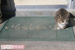 まさに“いらっしゃいませ”とばかりにわれわれをお出迎え 撮影/齋藤周造