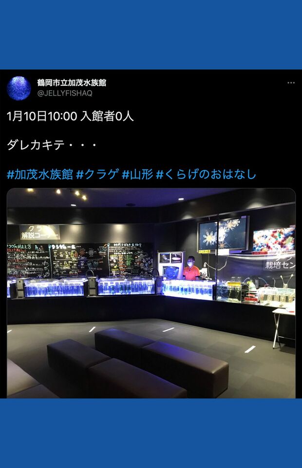 1500万表示されたツイート「ダレカキテ…」（加茂水族館公式Twitterより）